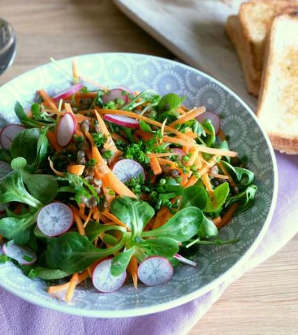 Salade de lentilles, mâche, radis