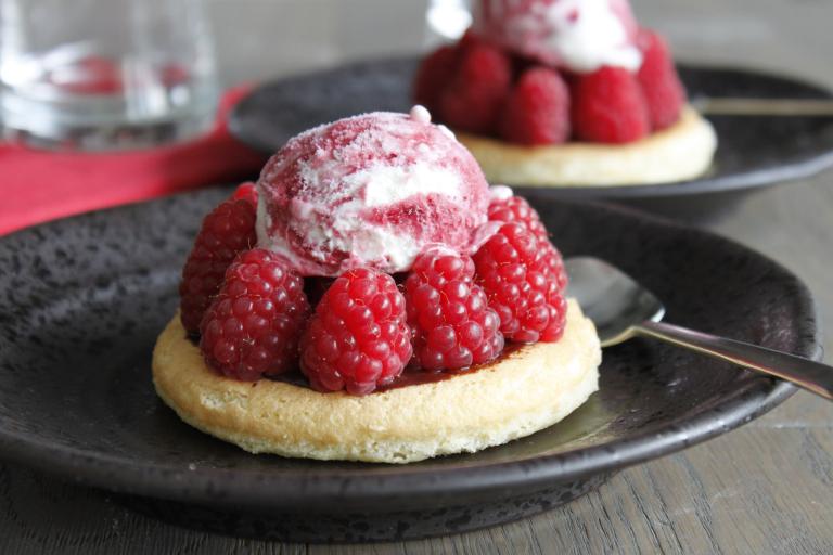 Genoise moelleuse chocolat framboises et glace façon vacherin fruits rouges